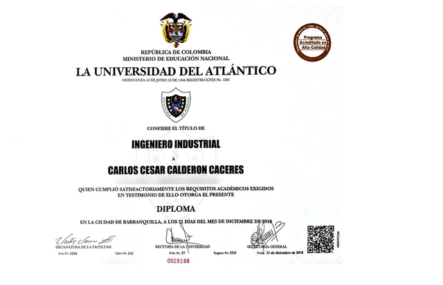Ingeniero Industrial